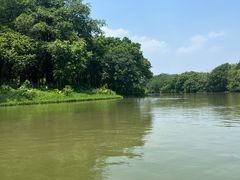 -海珠湖公园