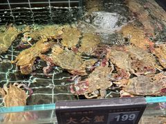 -浩运·海鲜青岛菜·海胆水饺(石老人店)