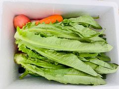 -君莲新城中城苑