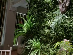 -周三的情书花园餐厅(江北店)