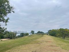 -盘龙城国家考古遗址公园