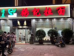 -杨记拉面总店