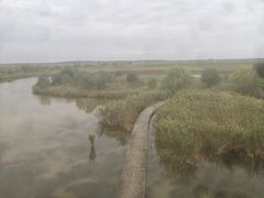 -盐城丹顶鹤湿地生态旅游区