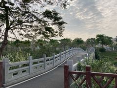 -广东花都湖国家湿地公园
