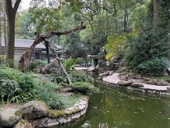 -南山植物园