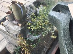 -品腐记·豆腐王朝(老门东总店)