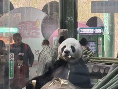 -栾川竹海野生动物园