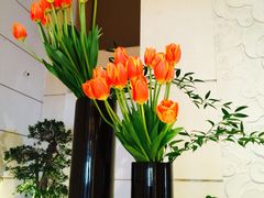 iphone_upload_pic-北京盘古七星酒店