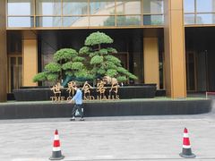 -上海外滩茂悦大酒店