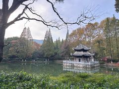 -习家池