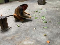 -石家庄市动物园