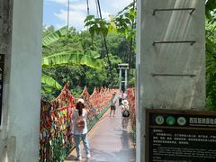 -西双版纳原始森林公园