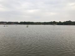 -上海都市菜园