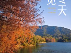 -深圳仙湖植物园
