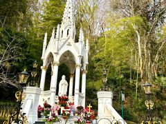 -上海佘山国家森林公园西佘山园