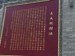 -大槐树寻根祭祖园