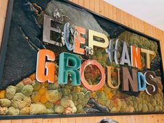 -Elephant Grounds(STARSTREET)