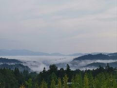 -碧峰峡风景区