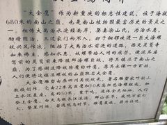 -大金鹰园