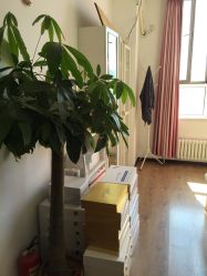 点击看大图 -苗方清颜•痘肌问题肌专研