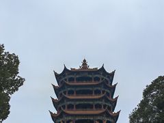 -富乐山