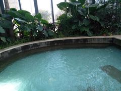 -郑州银基黄帝宫御温泉