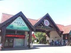 -上海海湾国家森林公园