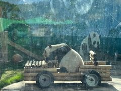 -鄂尔多斯野生动物园