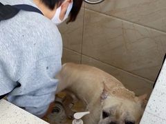 -美联众合动物医院·24h京西诊疗中心