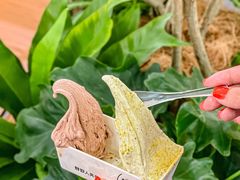 -野人先生Gelato(上海长宁龙之梦店)