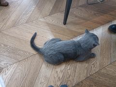 -Me Coffee下午茶艺术空间