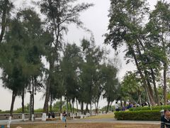 -宝安西湾红树林湿地公园