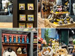 -珠海横琴国家地理探险家中心(创新方)