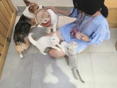 -Heymao猫咖.咖啡厅(东门店)