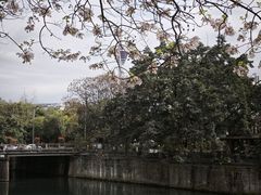 -成都市活水公园