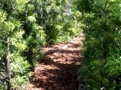 iphone_upload_pic-三鹰之森吉卜力美术馆