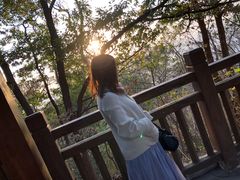 -紫金山山顶公园