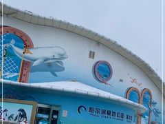 -哈尔滨极地公园