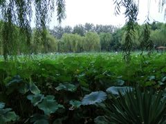 -潇湘甲鱼村(清河店)