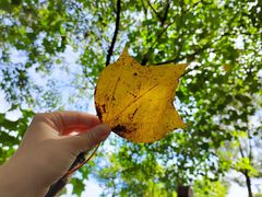 -广州市流溪河国家森林公园