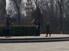 -绿堤公园