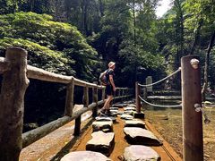 -鼎湖山风景区