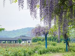 -龙寺生态园