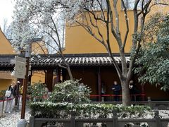 -龙华寺