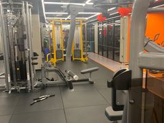 -健身专家Wellness Experts