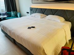 -成都凯宾斯基饭店