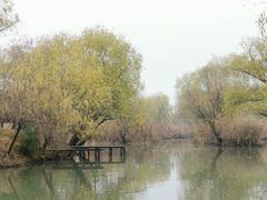 -长兴太湖图影湿地文化园
