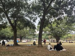 -东莞植物园
