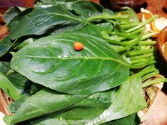 -楠火锅(哈尔滨金爵万象店)
