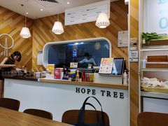-许小树(国贸商城店)